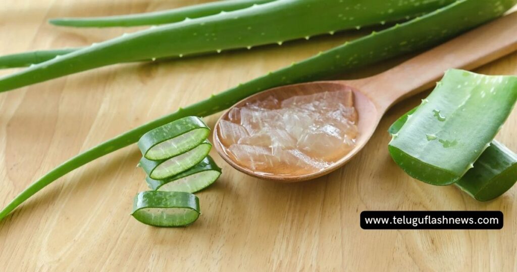 aloe-vera-benefits