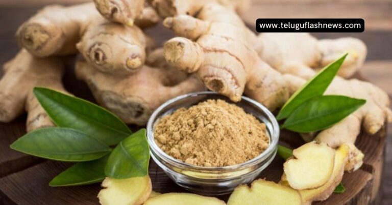 ginger health benefits