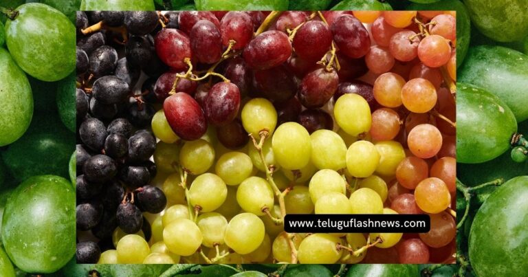 Grapes: మ‌న ఆరోగ్యానికి ద్రాక్ష ప‌ళ్లు మంచితో పాటు చెడు కూడా చేస్తాయనే విష‌యం తెలుసా?