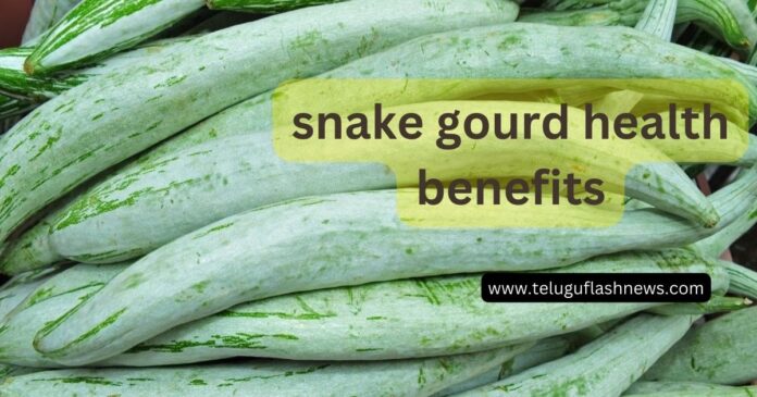 snake gourd health benefits