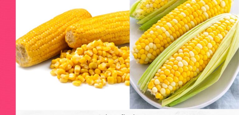 Corn benefits : ర‌క్త ప్ర‌స‌ర‌ణ వ్య‌వ‌స్థ మెరుగుప‌రిచే మొక్క‌జొన్న‌.. ఇంకా ఏఏ లాభాలు ఉన్నాయో తెలుసా?