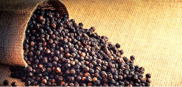 Black Pepper: మిరియాల‌ని ఎక్కువ‌గా వాడుతున్నారా, వాటి ప్ర‌యోజ‌నాల గురించి మీకు తెలుసా?