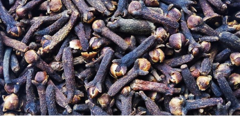 cloves benefits