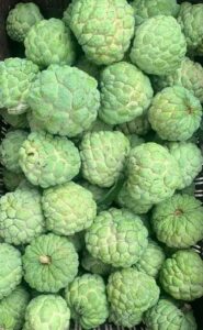 custard-apple-500x500