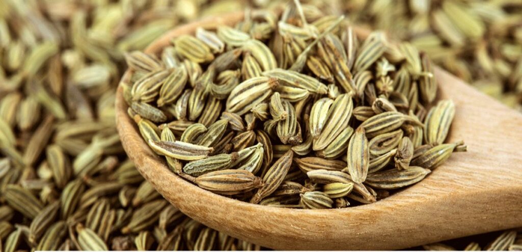 fennel seeds benefits