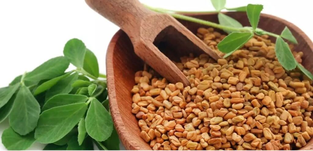 fenugreek seeds