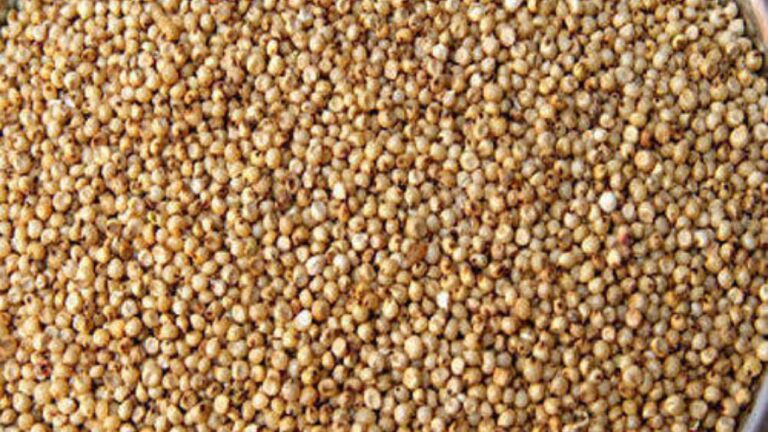 jowar millets : ఎముక‌లు బ‌లంగా ఉండాలంటే జొన్న‌లు తిన‌డం మంచిది..!