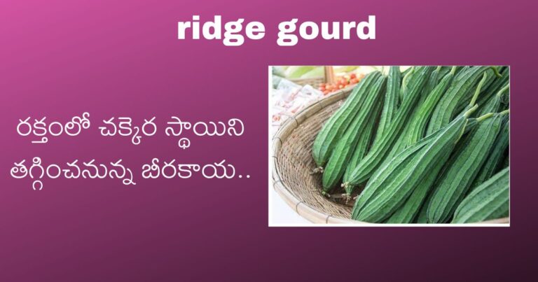 ridge gourd