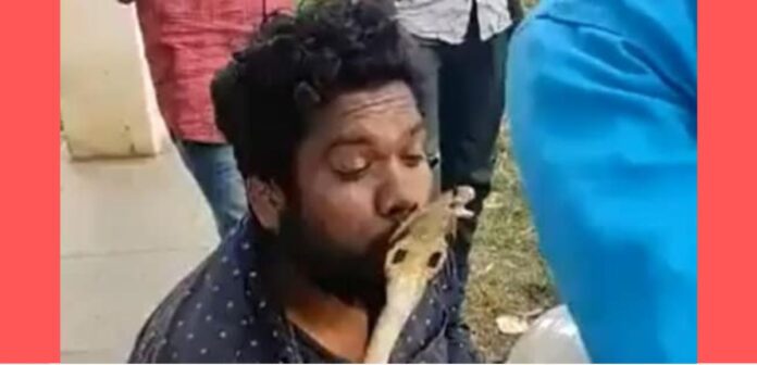 shivamogga snake bite incident