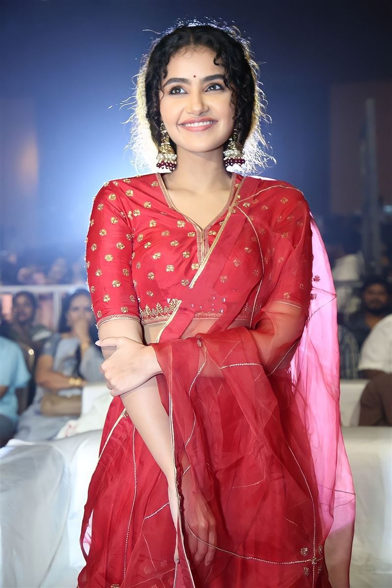 Anupama Parameswaran images at 18 PAGES Movie Pre Release Event