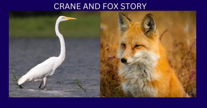 CRANE AND FOX STORY