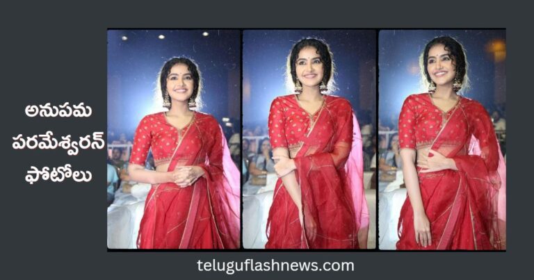 Anupama Parameswaran red half saree images at 18 PAGES Movie Pre Release Event.