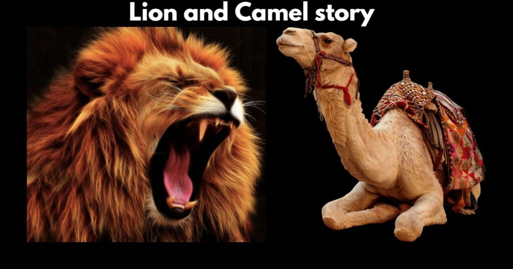 lion and camel story