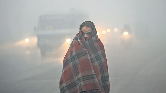cold wave india