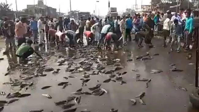 fishes on the road jharkhand