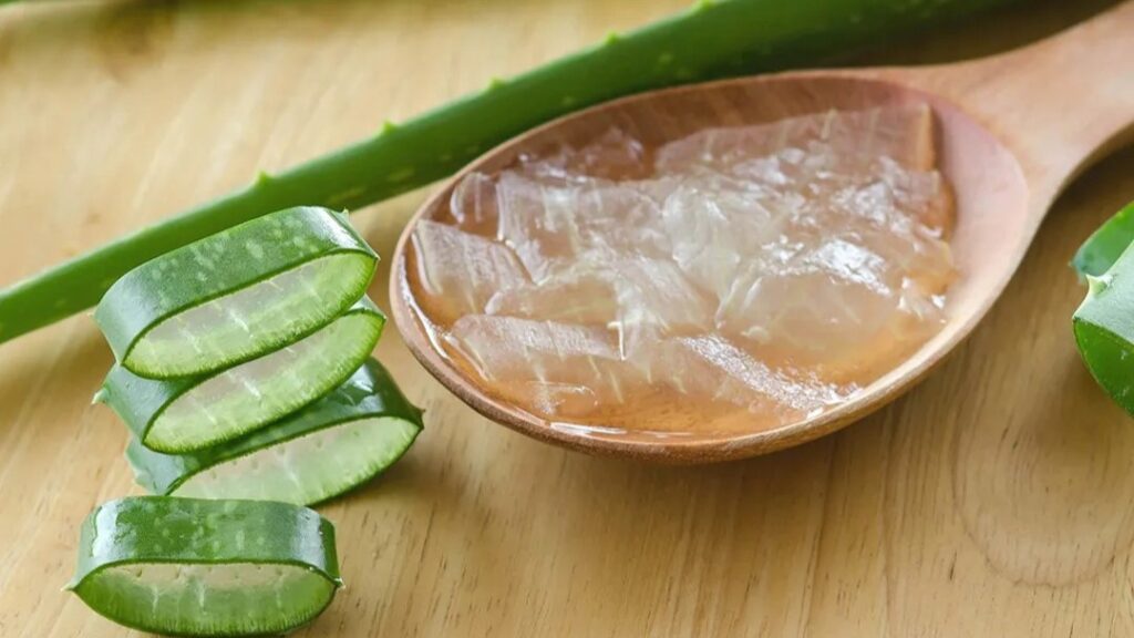 aloe vera for weight loss