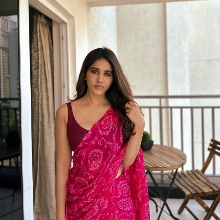 nabha natesh latest saree photos