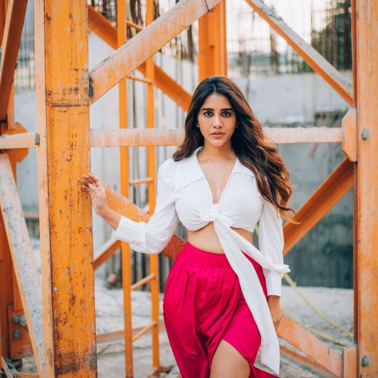 nabha natesh latest photos