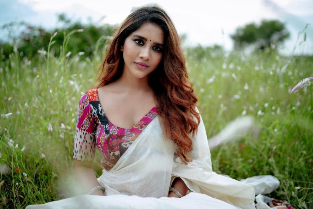 nabha natesh latest photos