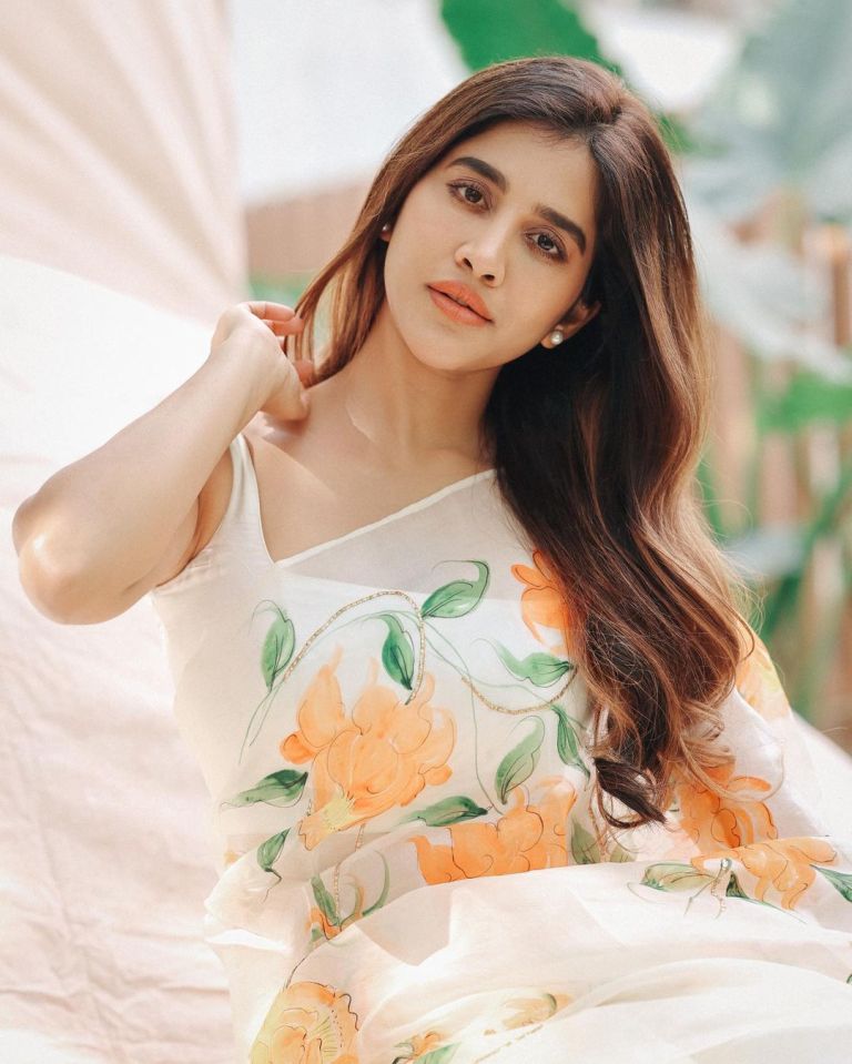 nabha natesh latest photos