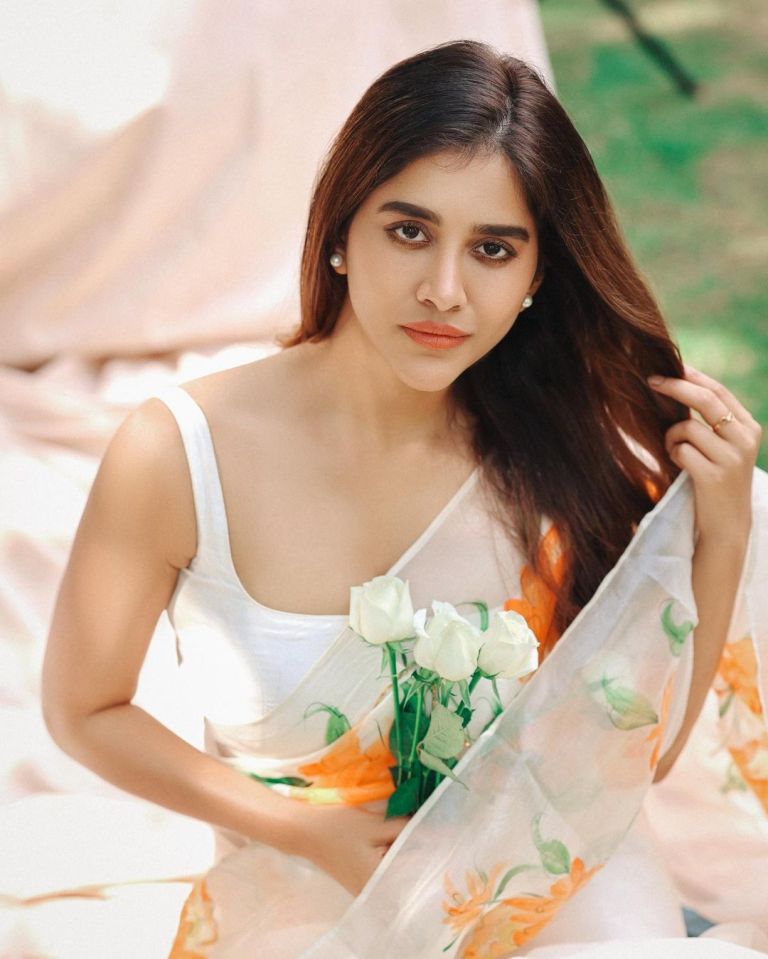 nabha natesh latest photos