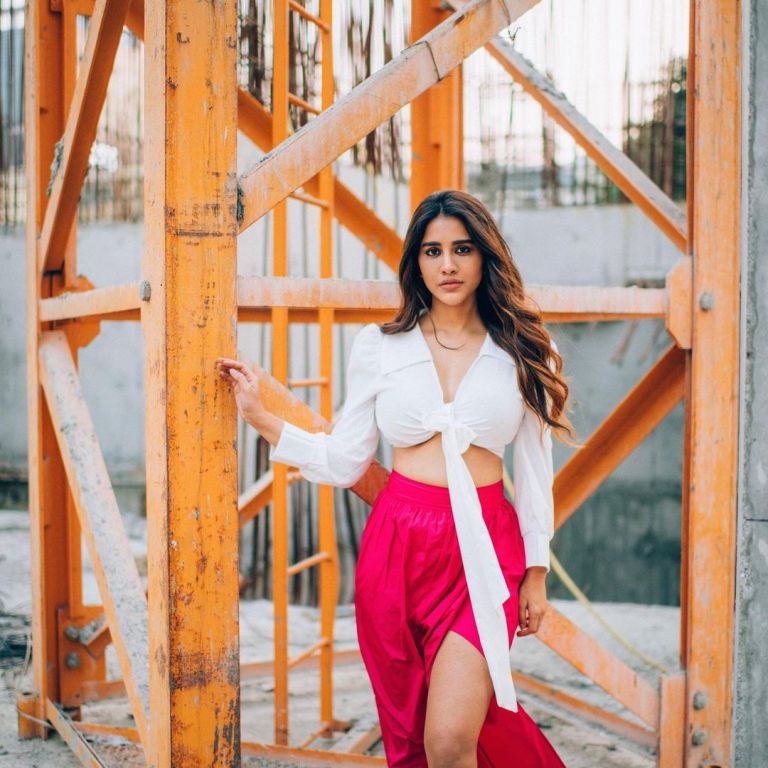 nabha natesh latest photos