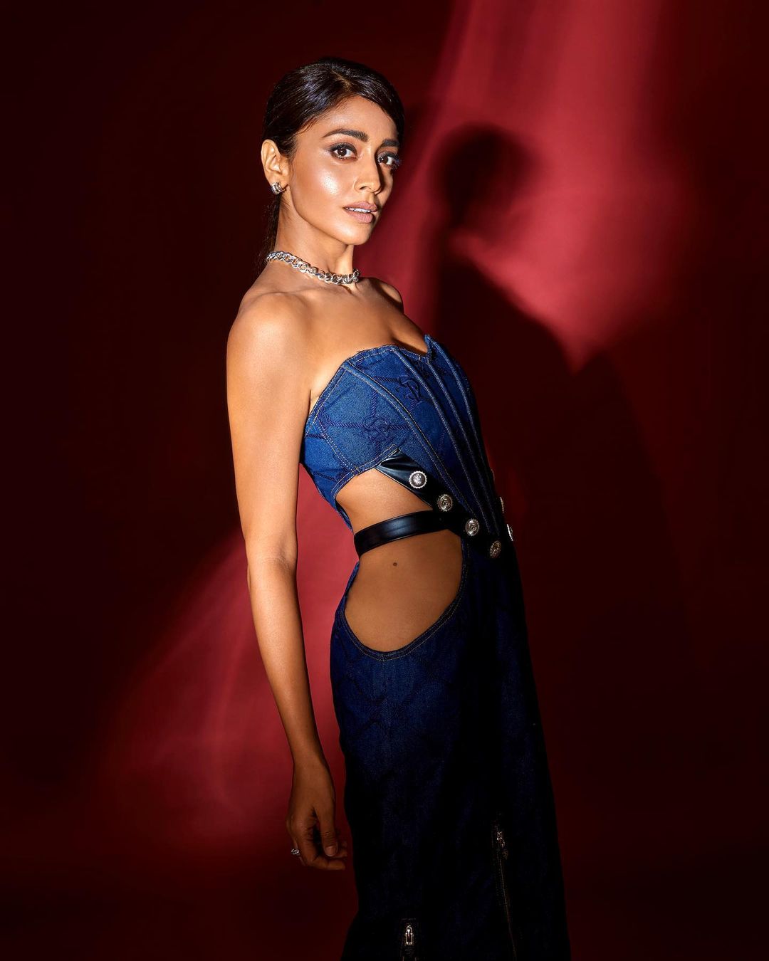 shriya saran hot