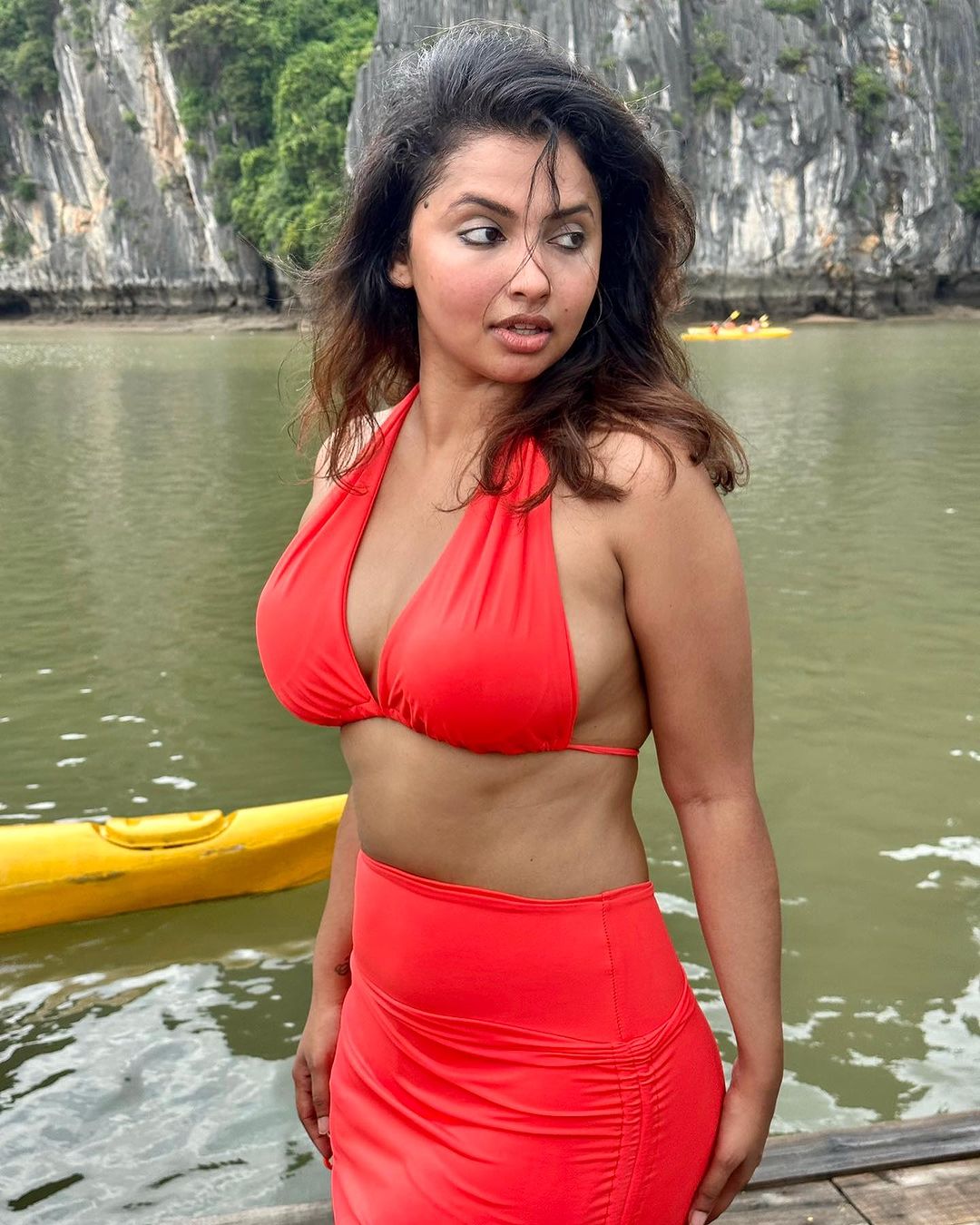 Anicka Vikramman