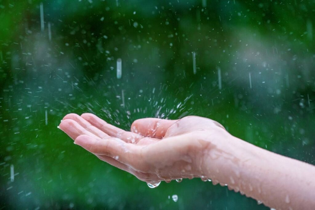 take care from monsoon infections