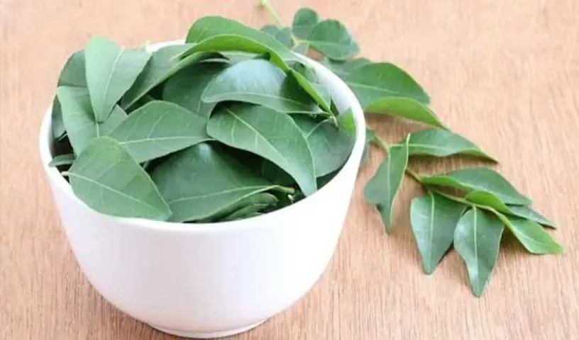 Curry Leaves