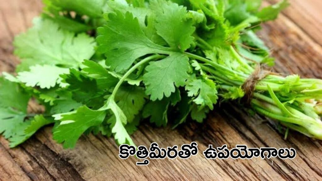 coriander leaves benefits