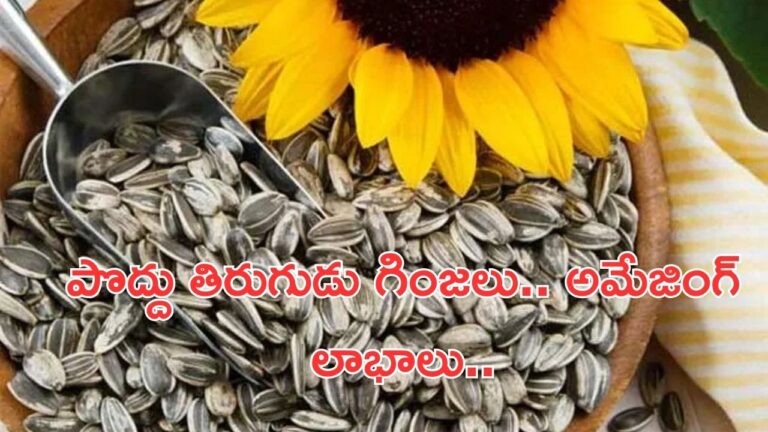 sunflower seeds benefits