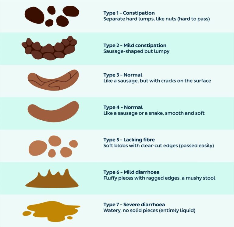 Stool Characteristics