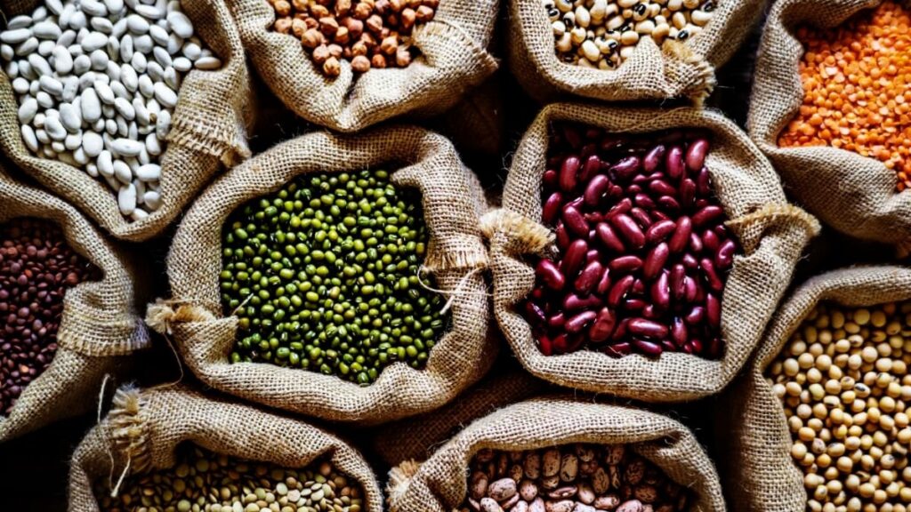 legumes and pulses