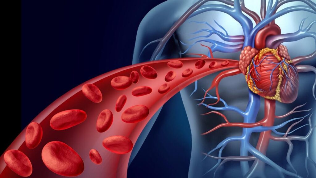 blood circulation