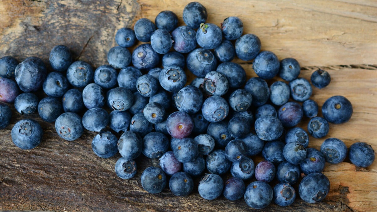 blueberries fruits and their benefits