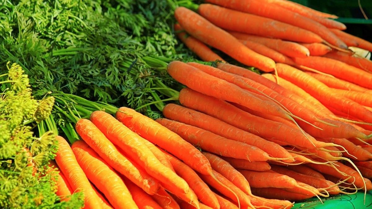 carrot for weight loss