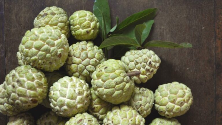 custard apple benefits