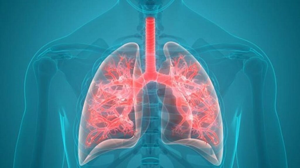 healthy lungs