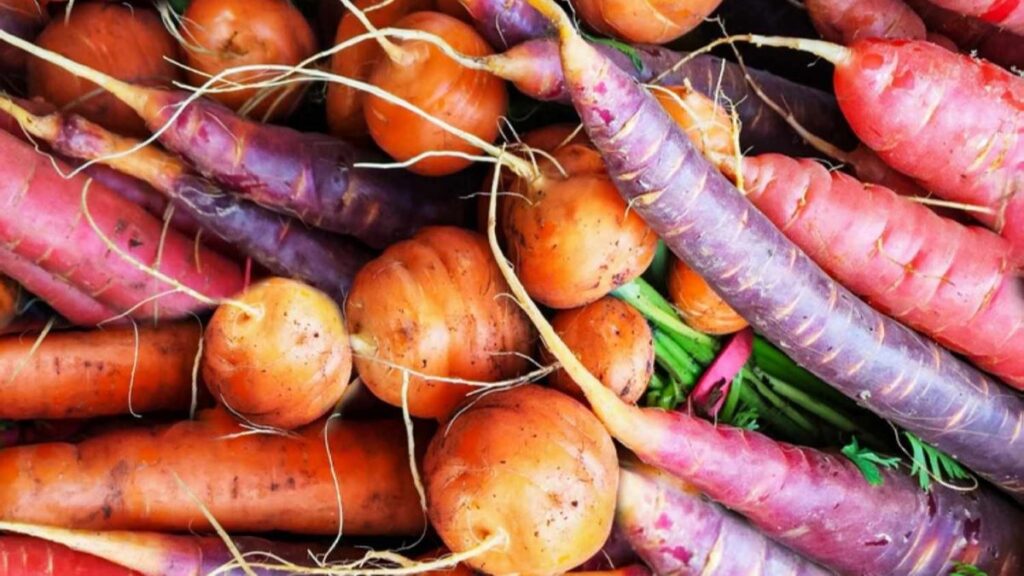 root vegetables