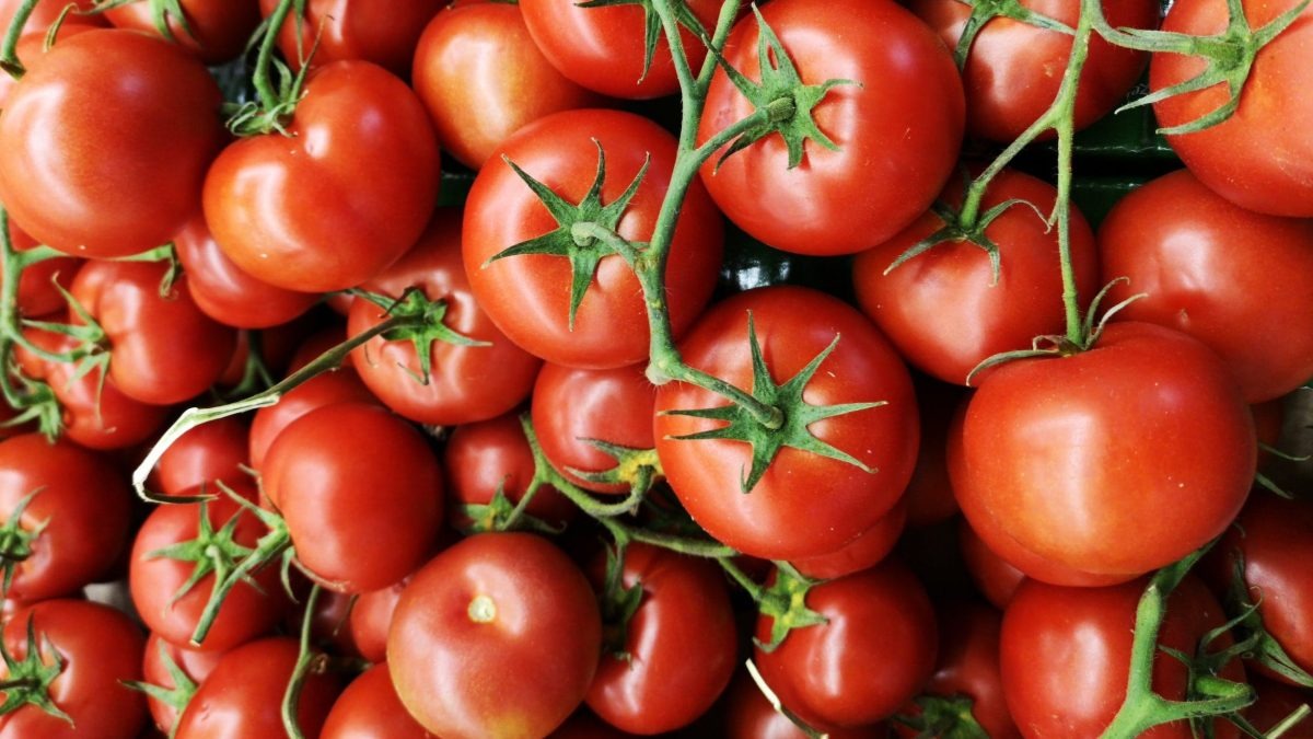 tomatoes - vegetables or fruits