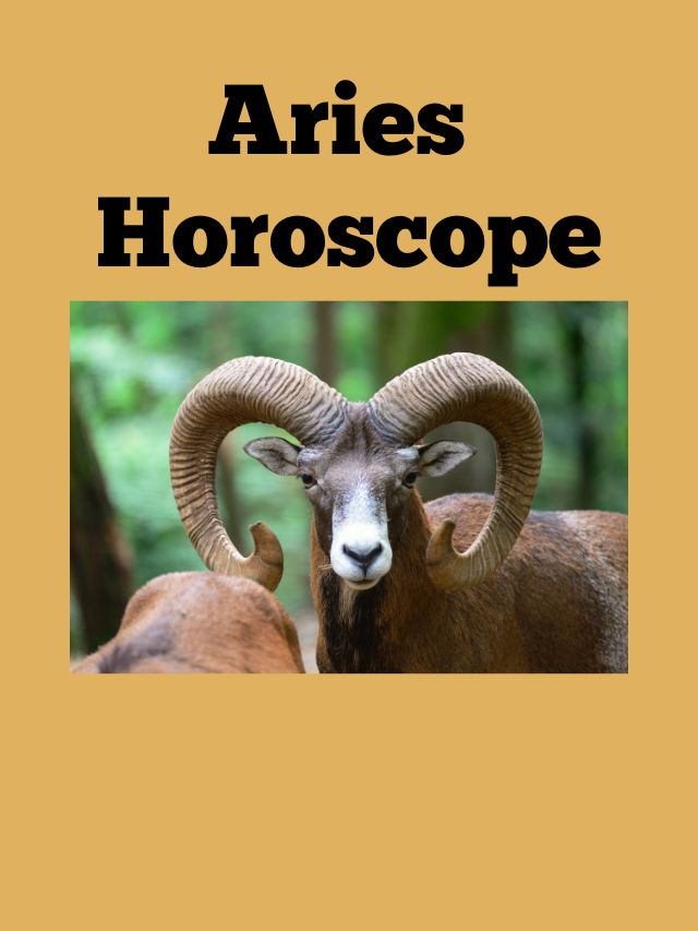 31st December 2023 Aries Horoscope