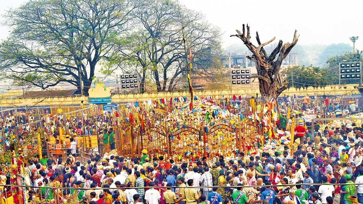 Medaram Jatara