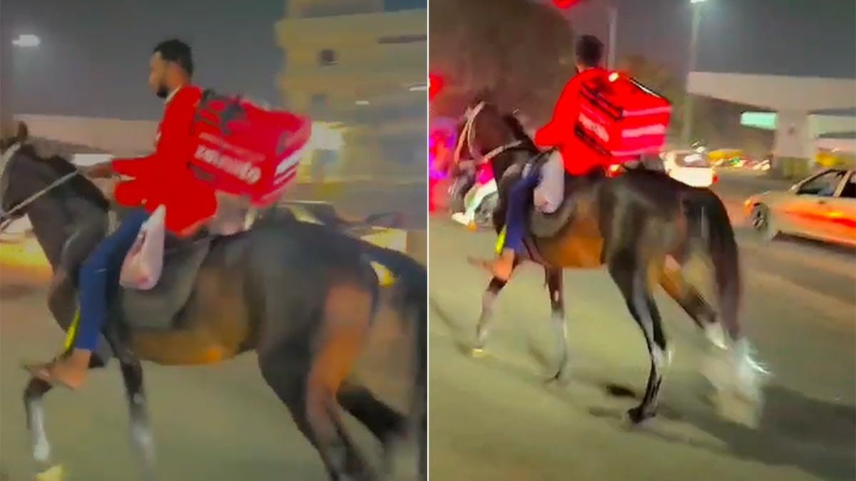 viral video of horse ride by zomato delivery boy