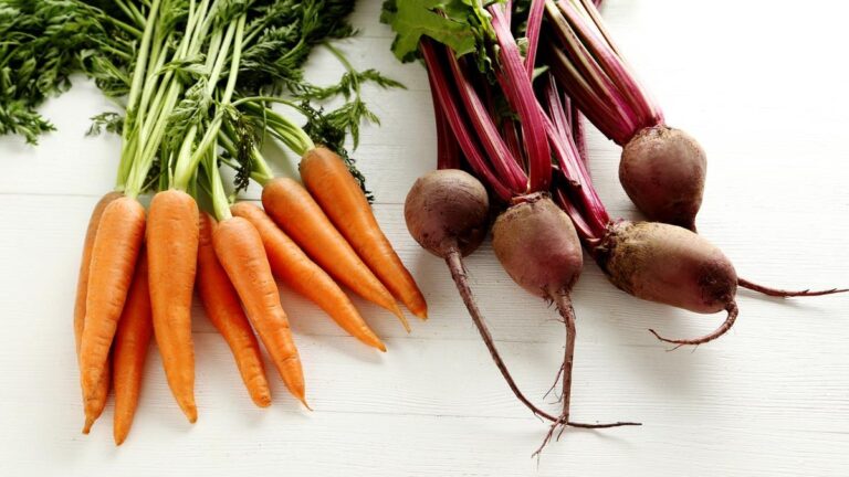 root vegetables in winter season