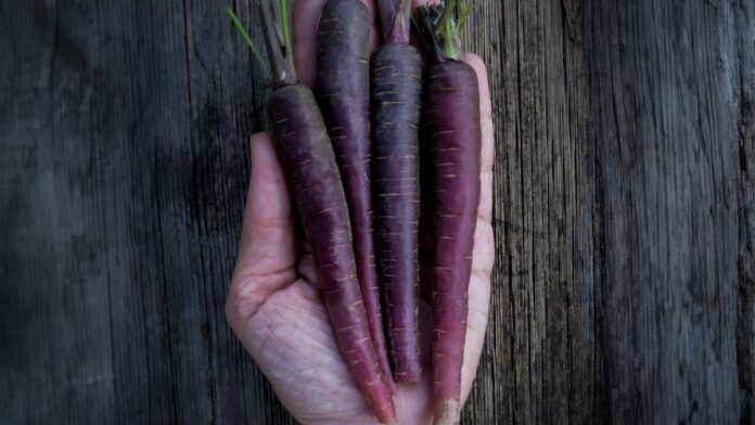 black carrots